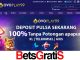 OVOPlay99 Bonus New Member 100%