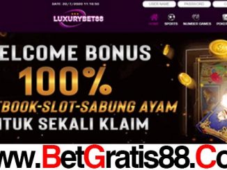 Luxurybet88 Bonus New Member 100%